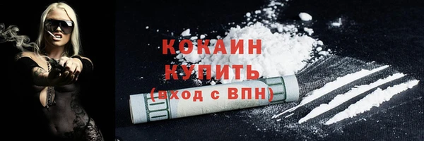 кокс Арсеньев