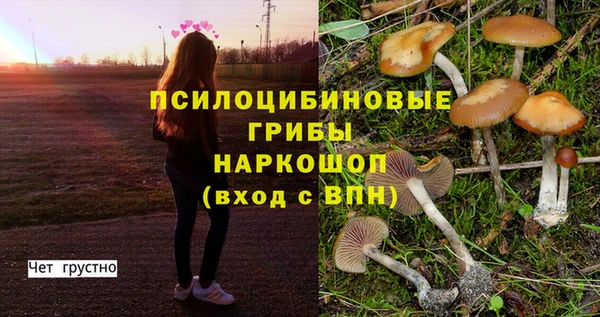 не бодяженный Аркадак