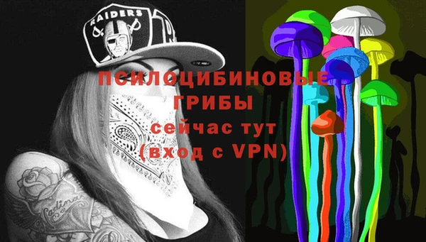 таблы Алексин