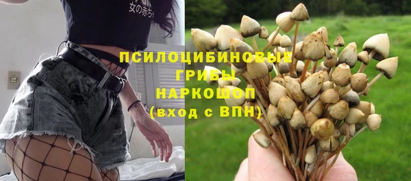 таблы Алексин